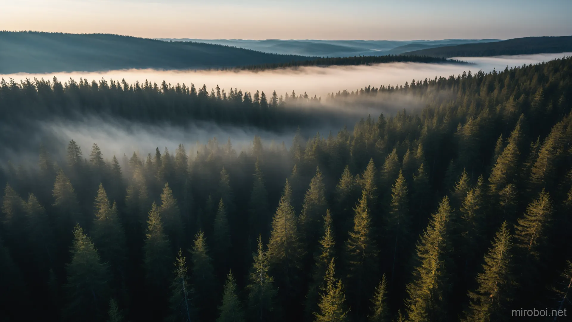 Endless Hills of the Siberian Taiga