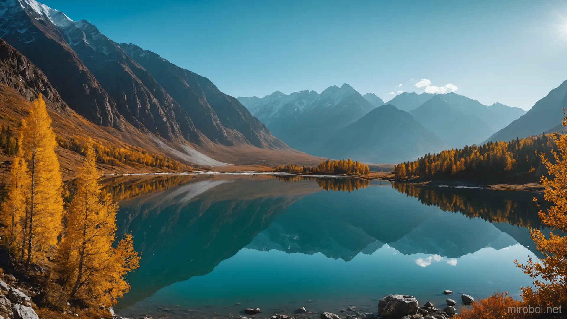 Golden Larches at Altai Mountain Lake