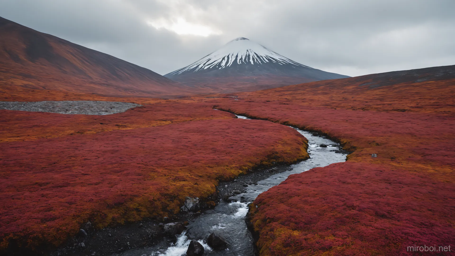 Volcanic Stream in Kamchatka