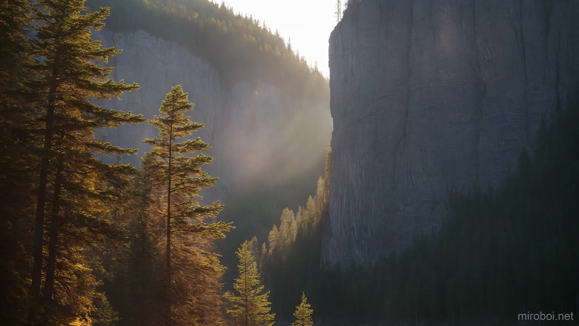Mystical Light in the Ural Forest Canyon